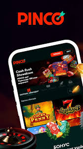 Pinco Gambling Establishment Review